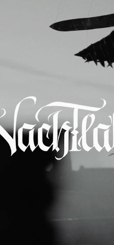 Video fallback image Nachtlab